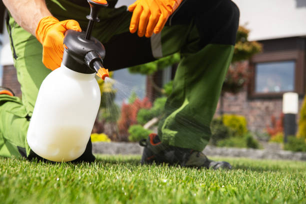 Best Pest Control for Restaurants  in Columbia City, IN