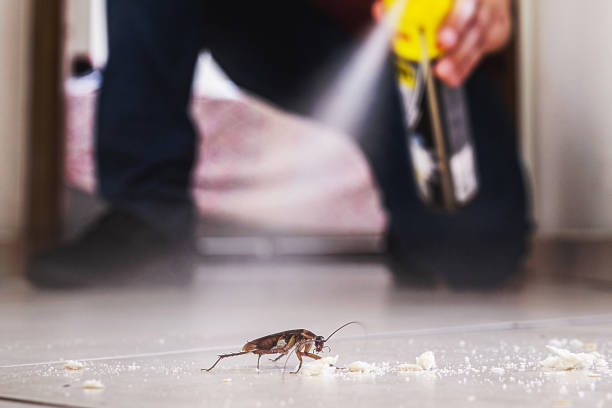 Best Wasp Removal Services  in Columbia City, IN