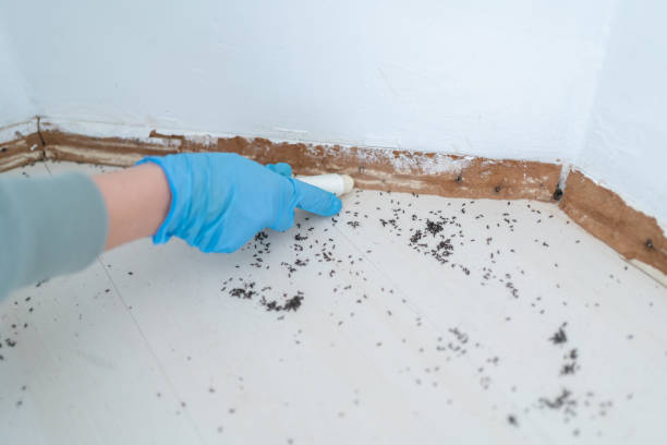 Wildlife Control Services in Columbia City, IN