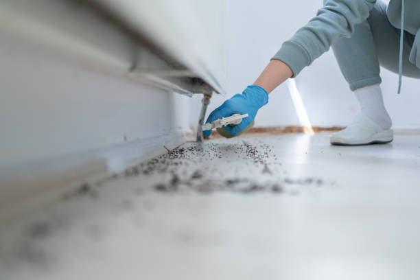 Pest Control for Restaurants in Columbia City, IN